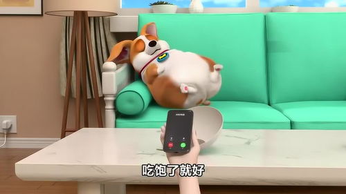 被宠物狗套路了怎么办