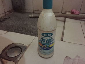 宠物狗喝了消毒水怎么办