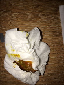 宠物狗粪便有血丝怎么办