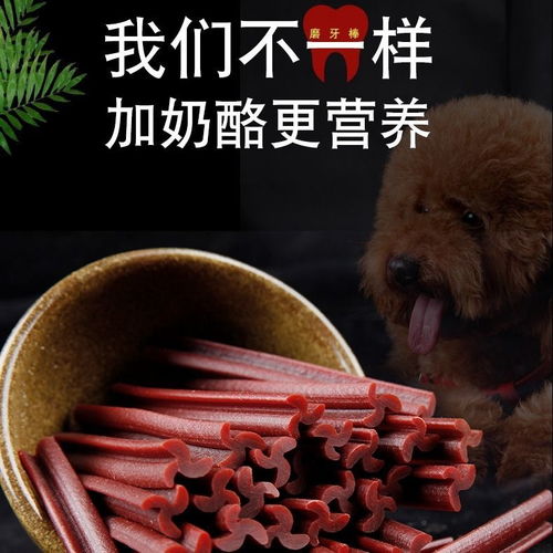 宠物狗耐咬零食怎么办啊