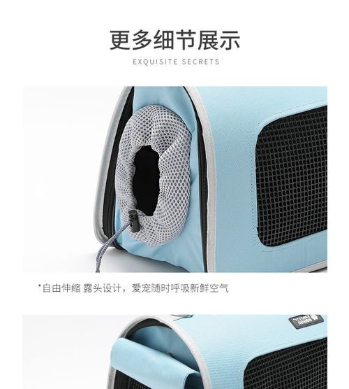 宠物猫出行背包怎么用