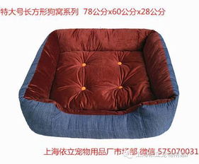 宠物狗秋冬季衣服怎么穿