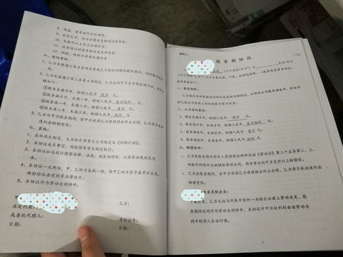 购买宠物猫合同怎么签字