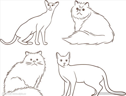 画个宠物狗和猫怎么画