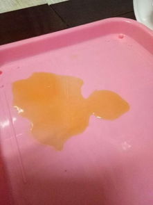 宠物狗拉血尿怎么回事儿