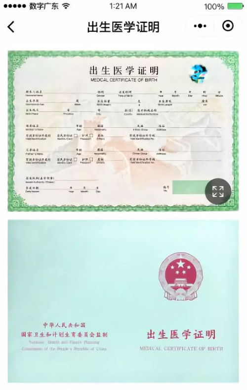 宠物狗怎么办理出生证