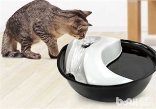 宠物猫喝水器怎么使用