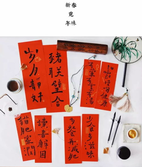 宠物猫小对联怎么写