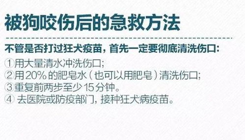 宠物狗狂犬病毒怎么测