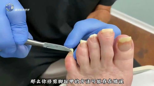 宠物狗剪脚指甲怎么剪好看