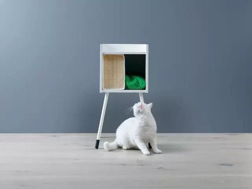 宠物猫小屋怎么搭
