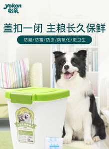 宠物狗装粮桶怎么装好看
