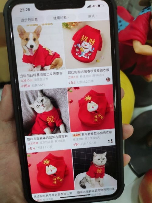 拼多多上的宠物狗怎么样