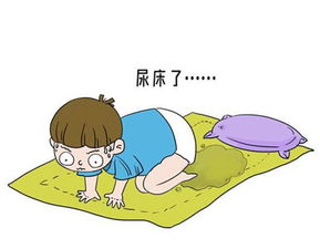 宠物狗尿床是怎么回事儿