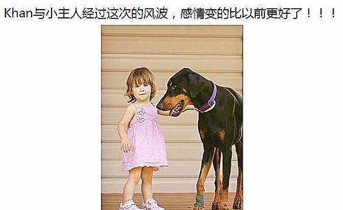 宠物狗突然袭击小朋友怎么办