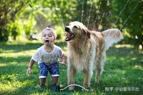 儿子养宠物狗猫怎么办