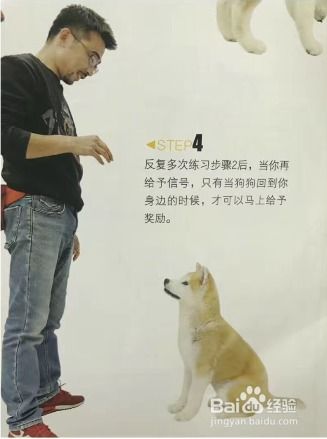 怎么样才能召唤宠物狗呢