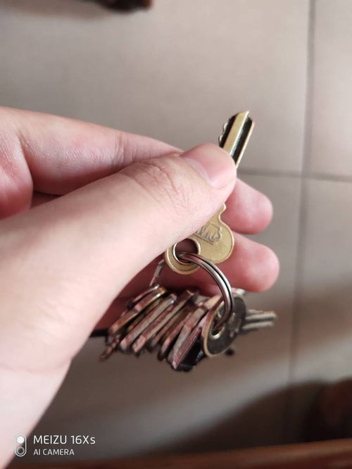 宠物狗取钥匙怎么取出来
