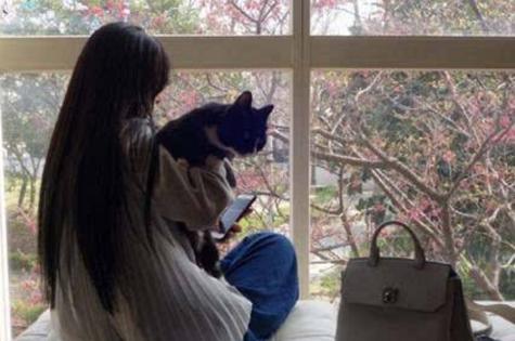 宠物猫单手要怎么抱