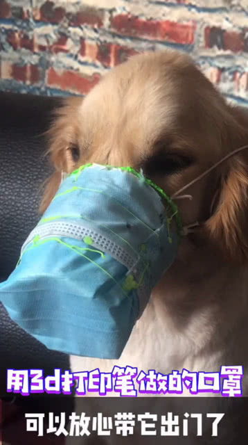 宠物狗做的口罩怎么做的