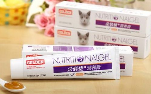 宠物猫巧克力膏怎么用