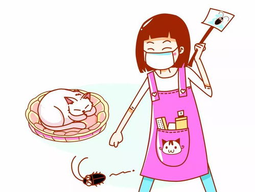 怎么教宠物猫捕猎