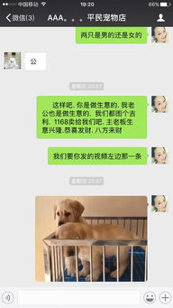 怎么在微信买宠物狗猫咪
