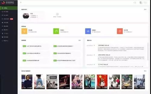 抖音做宠物猫账号怎么做