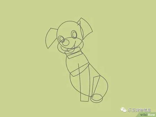 简易版宠物狗怎么画的好看