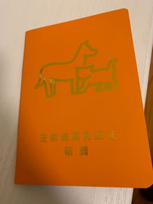 怎么给宠物猫办理猫证