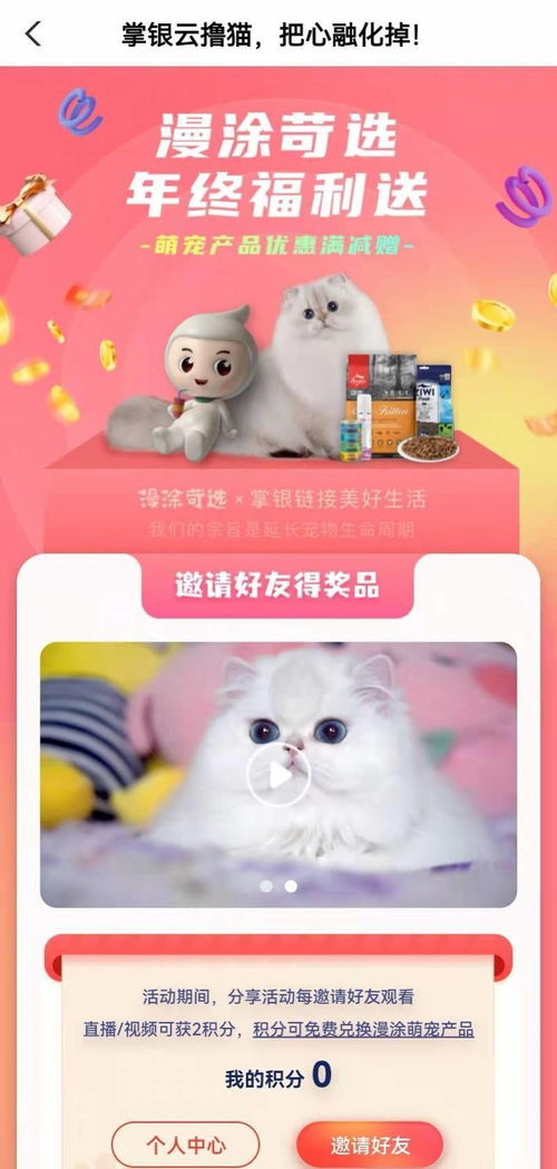 怎么邮快递宠物猫