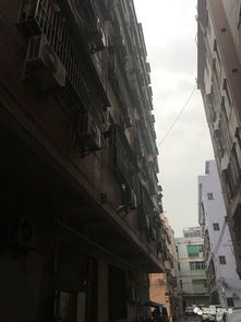 宠物狗从高楼跌落怎么办