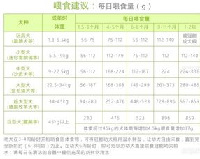 约克夏喂多少狗粮