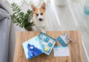 宠物猫盒怎么弄