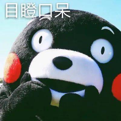 车子把宠物狗压了怎么赔