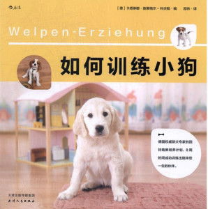 宠物狗被训练会怎么样