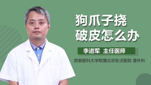 宠物狗挠破了皮怎么办