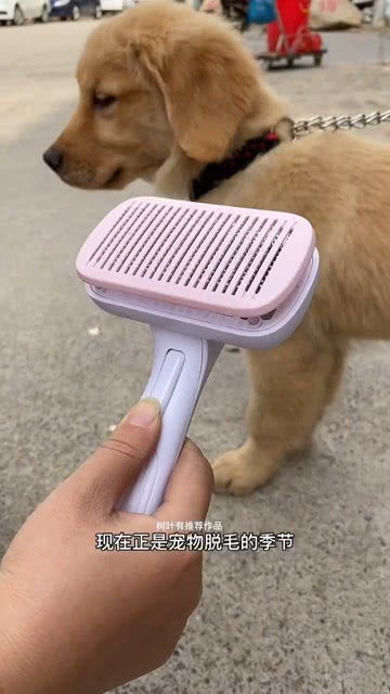 宠物狗脱毛梳毛器怎么用