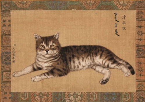 古代怎么称呼宠物猫