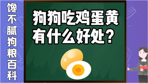 宠物狗鸡蛋黄怎么吃的好