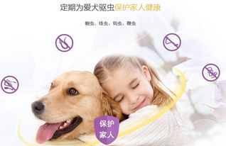 宠物狗怎么用驱虫药好