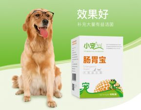 宠物狗拉屎太稀怎么回事