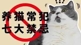 怎么赶走宠物猫