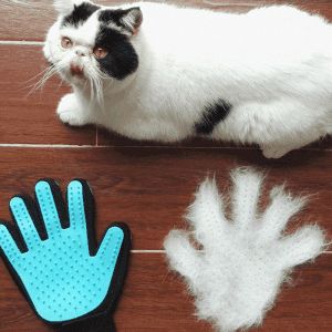宠物猫身上毛怎么清理