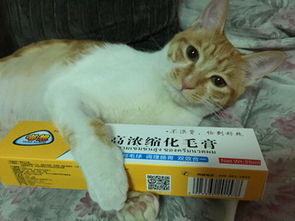 宠物猫化毛药怎么吃的啊
