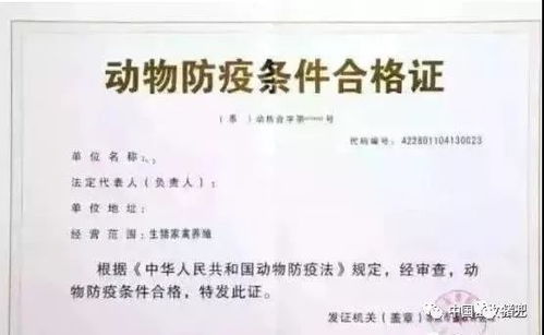 宠物狗养殖证怎么办理的