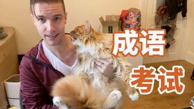 宠物狗吃棒棒糖怎么办啊