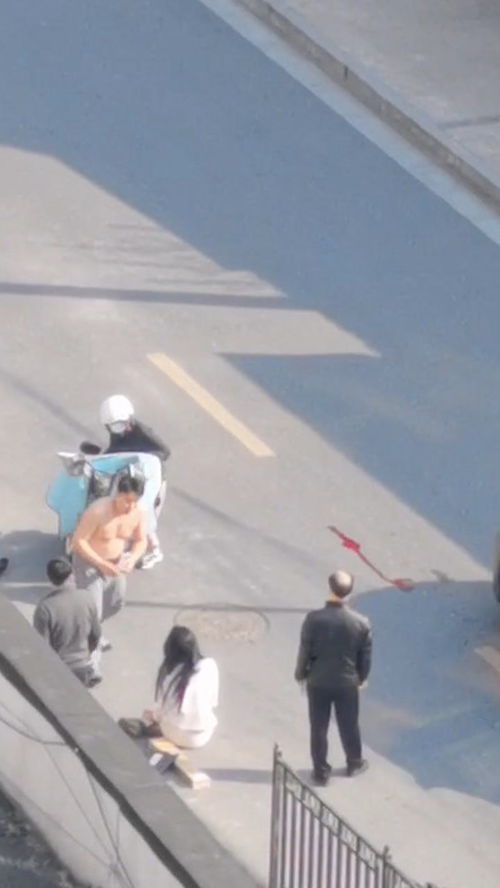 马路上撞上宠物狗怎么办
