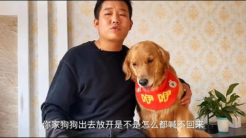 宠物狗怎么能叫它回来呢