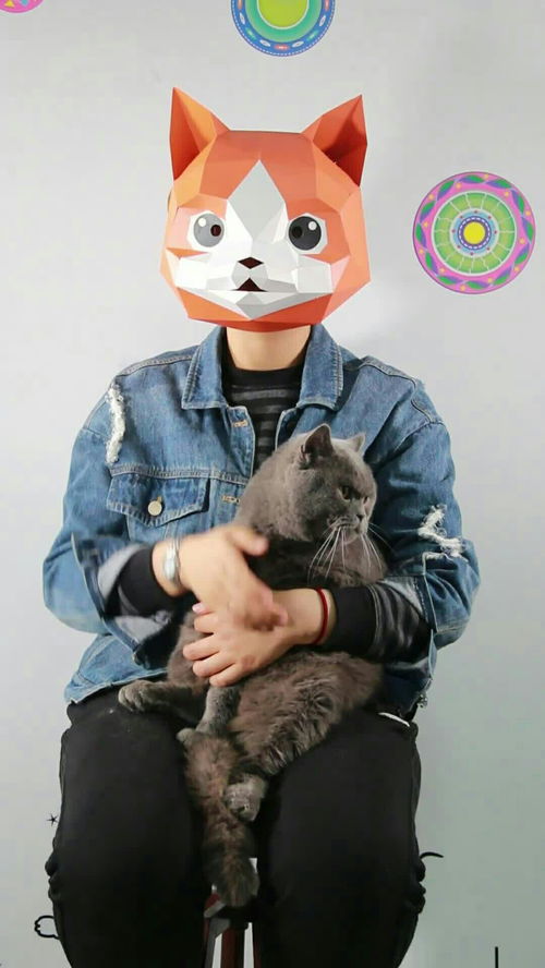宠物猫指甲怎么修